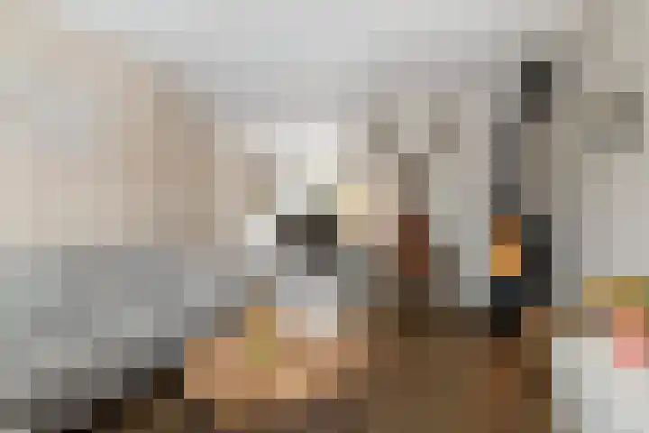 Honingraat 39 Eerbeek thumbnail 8