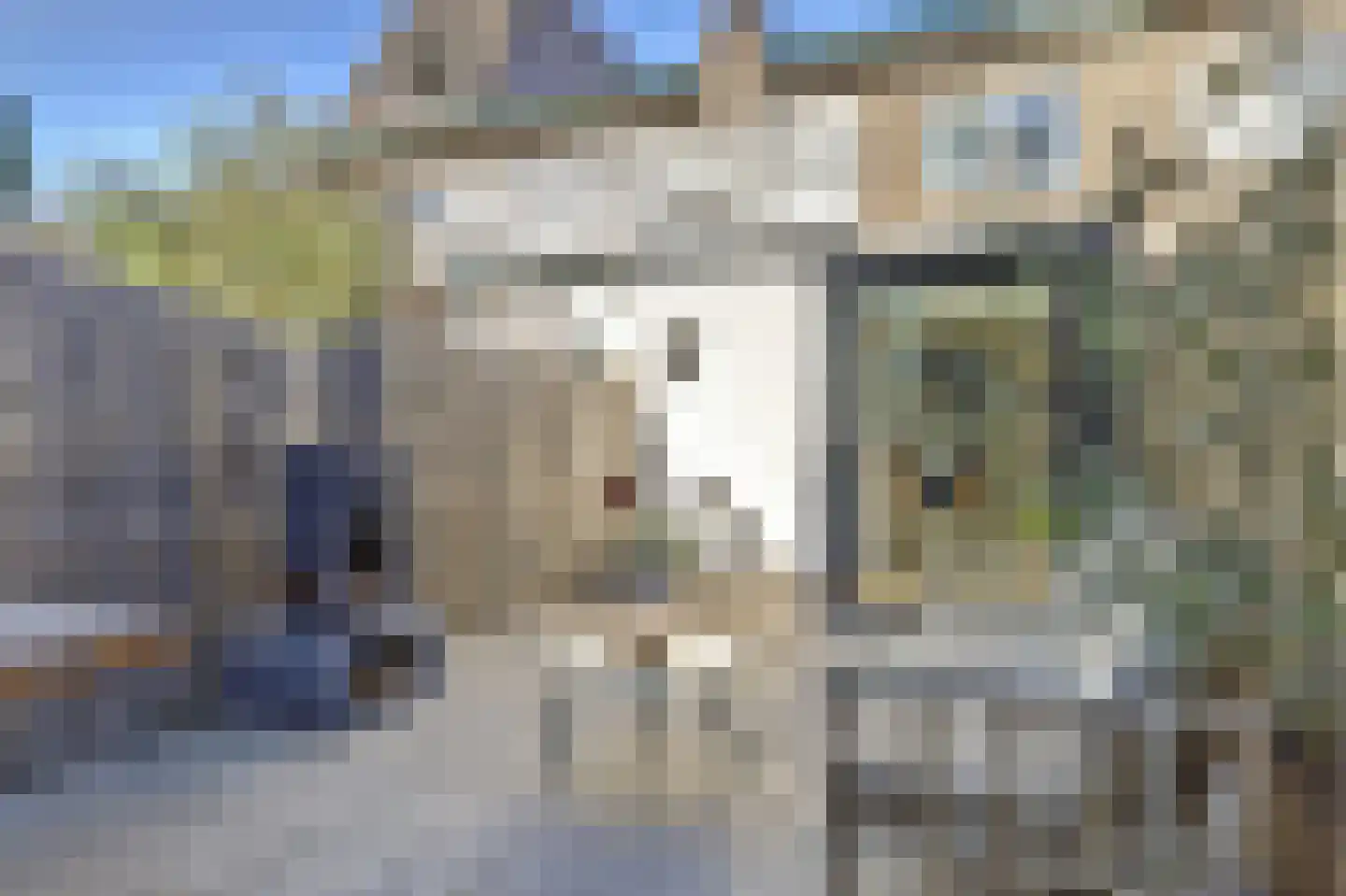 Honingstraat 11 Hilversum thumbnail 35