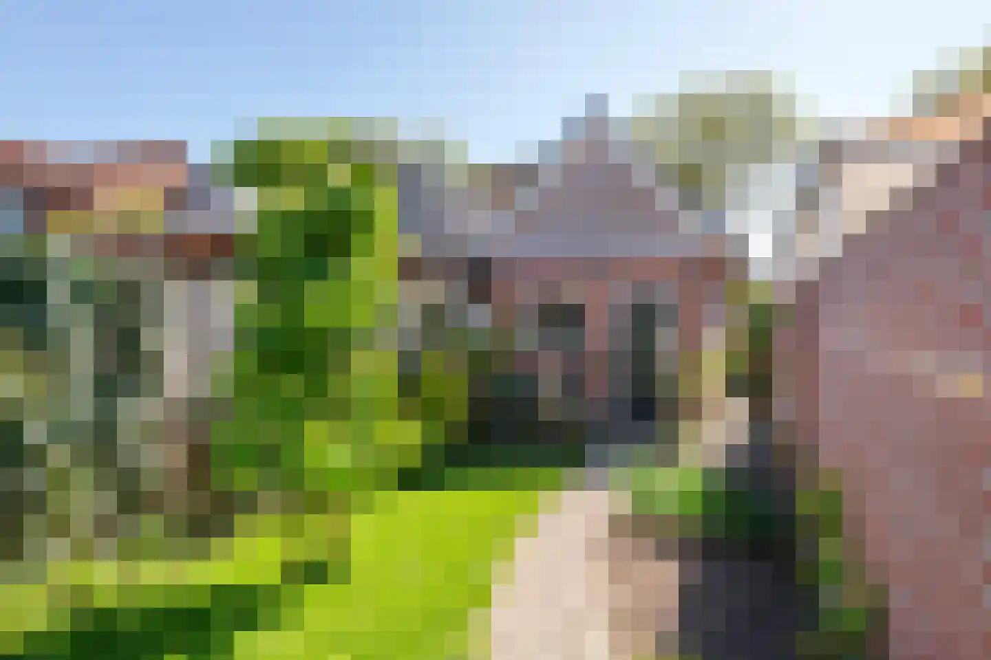 Honingstraat 15 Tiel thumbnail 32