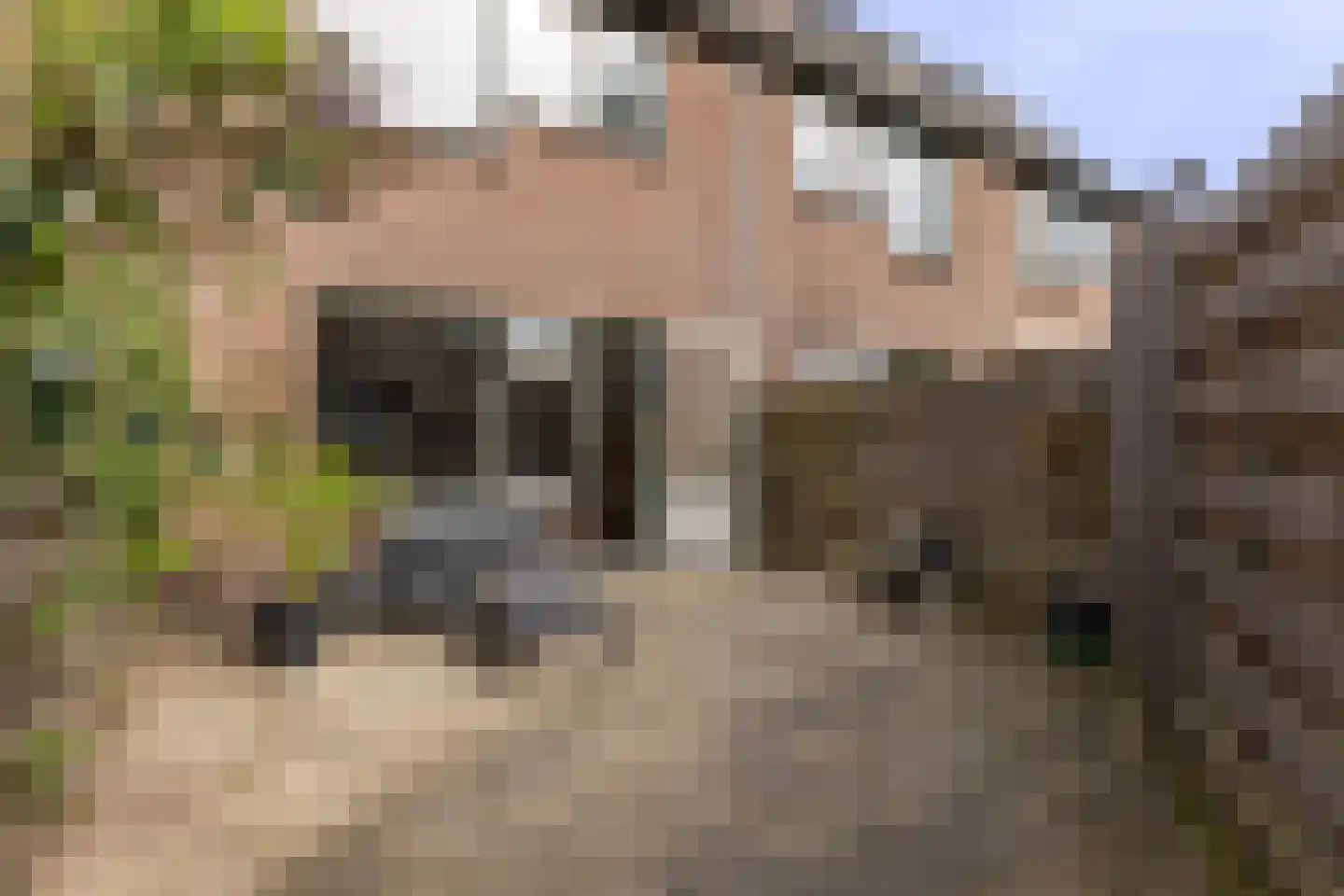 Honingstraat 33 Hilversum thumbnail 7
