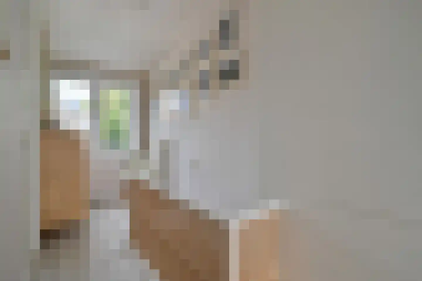 Honingstraat 34 Hilversum thumbnail 26