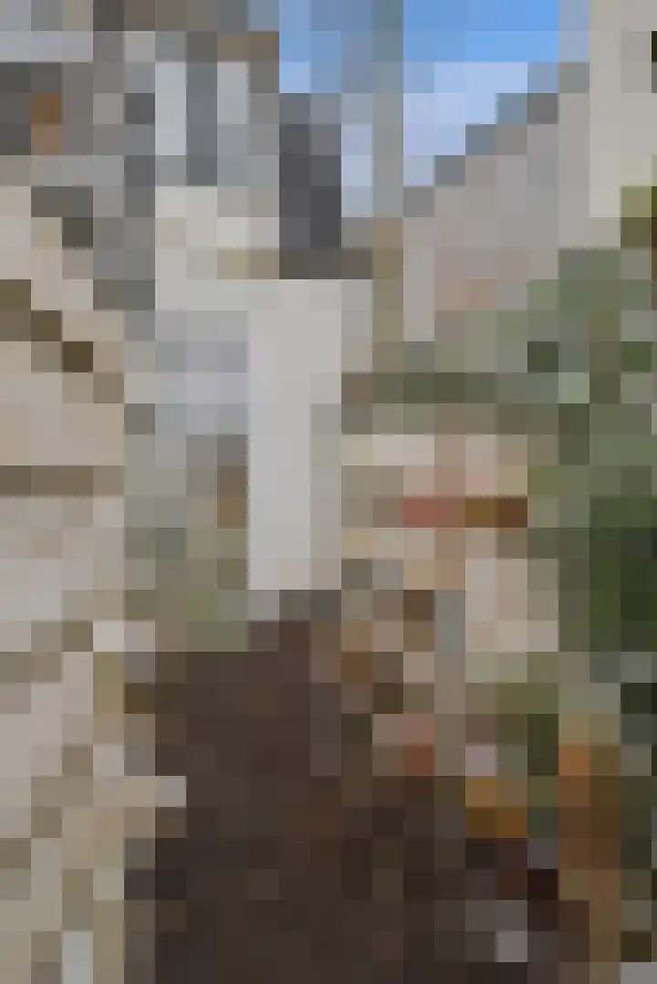 Honingstraat 36 Hilversum thumbnail 31