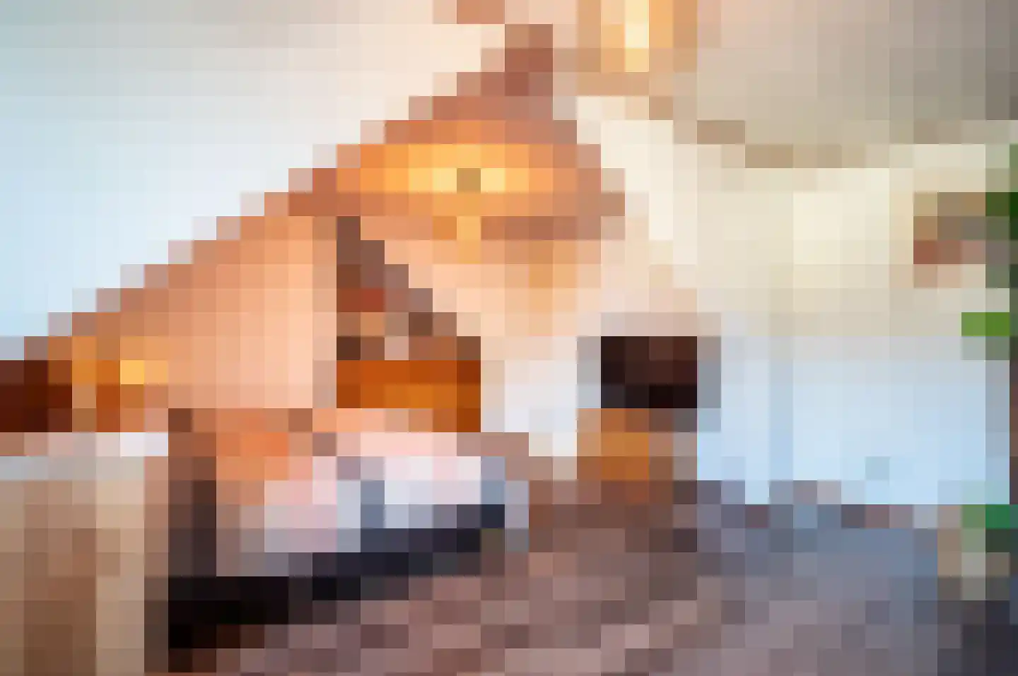 Honingsveldweg 2 Elburg thumbnail 17