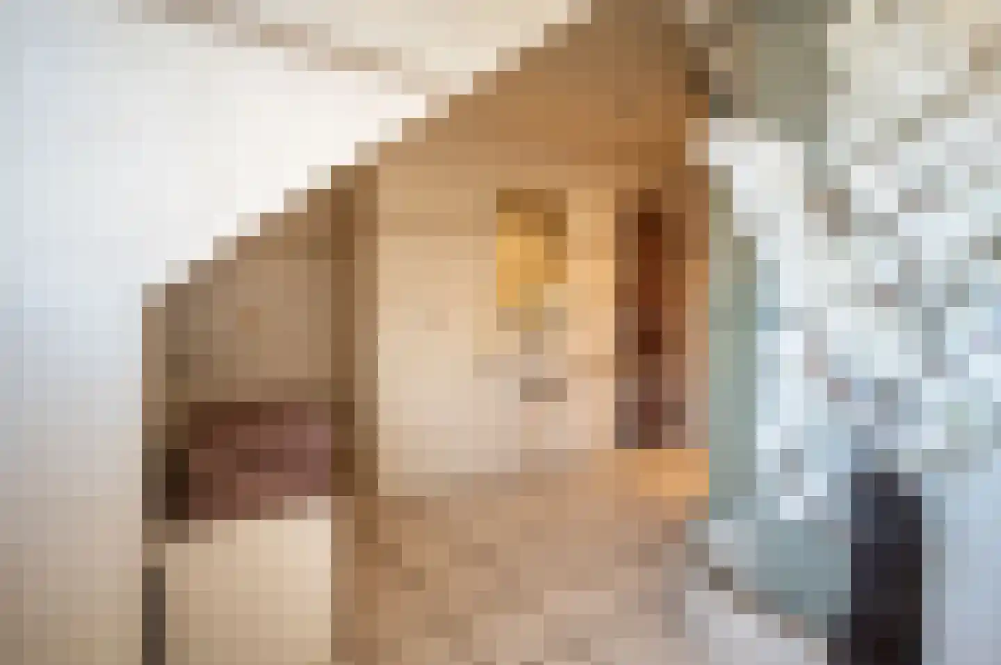 Honingsveldweg 2 Elburg thumbnail 24