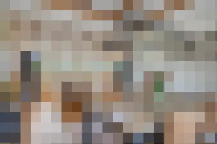 Honingveldsestraat 1 Driel thumbnail 18