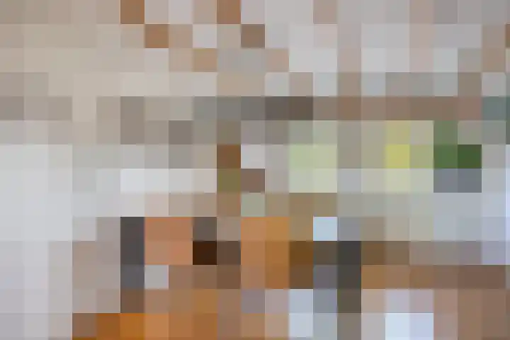 Honingveldsestraat 1 Driel thumbnail 19