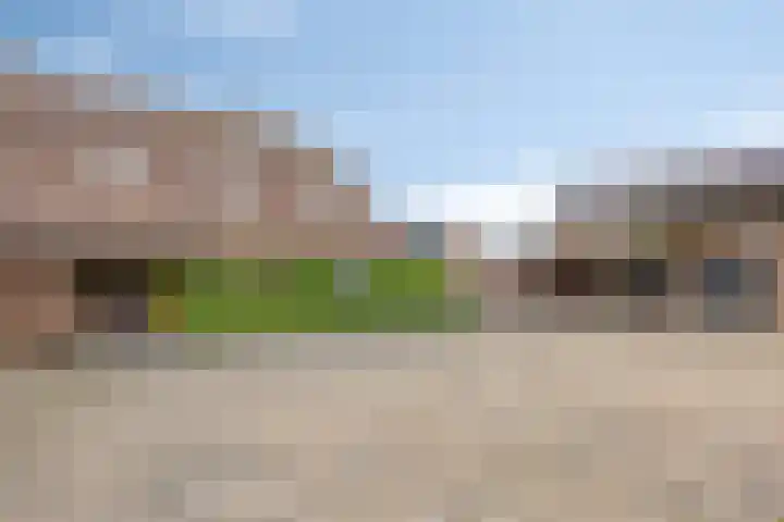 Honingveldsestraat 1 Driel thumbnail 4