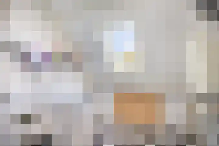 Honingveldsestraat 1 Driel thumbnail 42