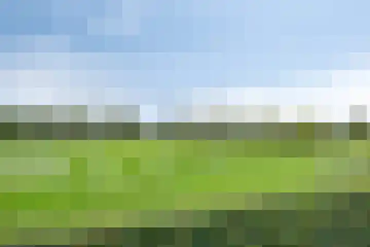 Honingveldsestraat 1 Driel thumbnail 45