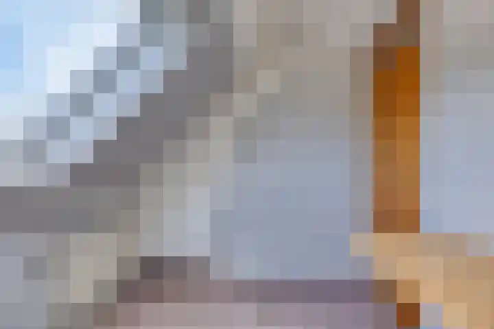 Honingveldsestraat 1 Driel thumbnail 47