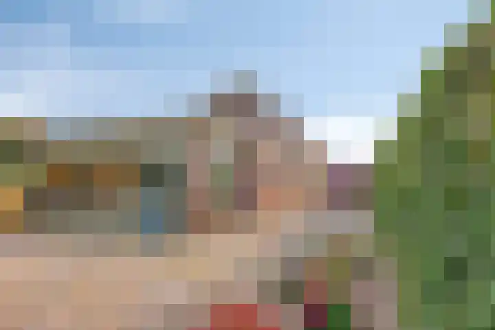 Honingveldsestraat 1 Driel thumbnail 48