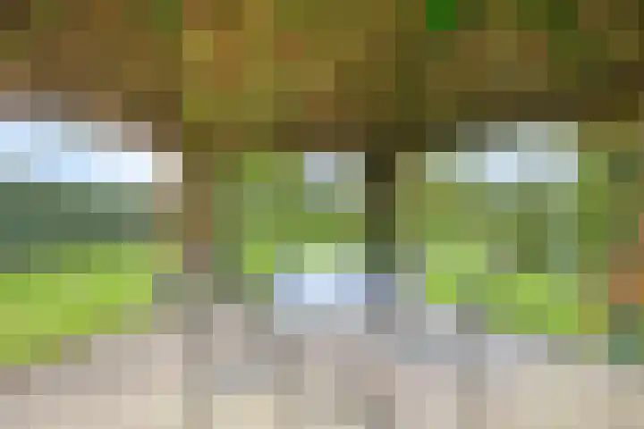 Honingveldsestraat 1 Driel thumbnail 54