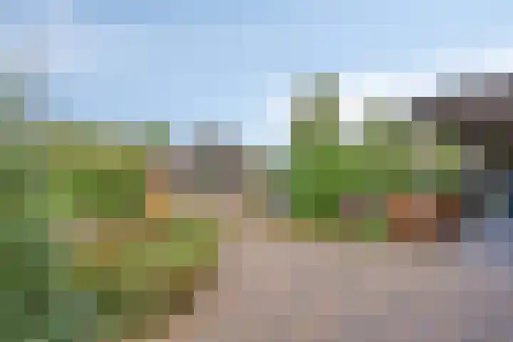 Honingveldsestraat 1 Driel thumbnail 55