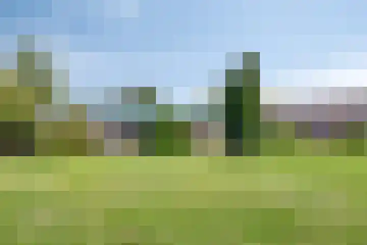 Honingveldsestraat 1 Driel thumbnail 56