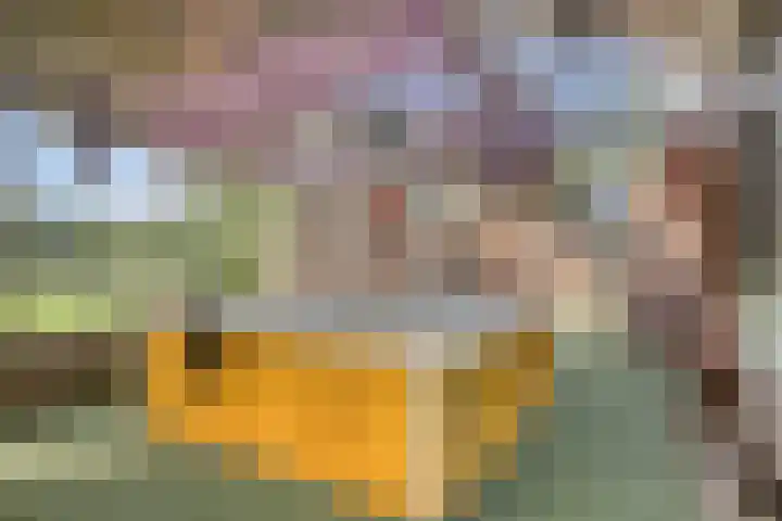 Honingveldsestraat 1 Driel thumbnail 59