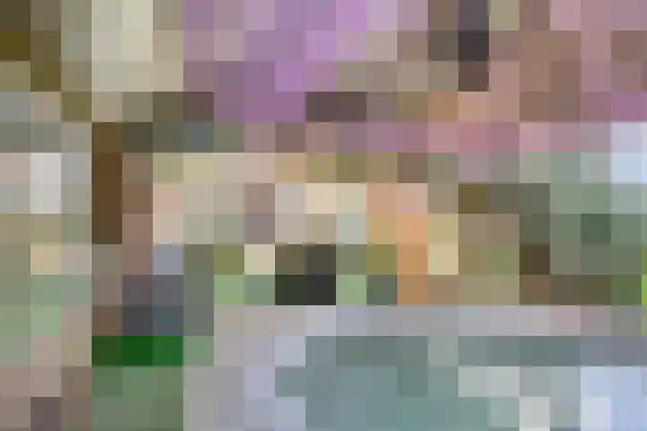 Honingveldsestraat 1 Driel thumbnail 60