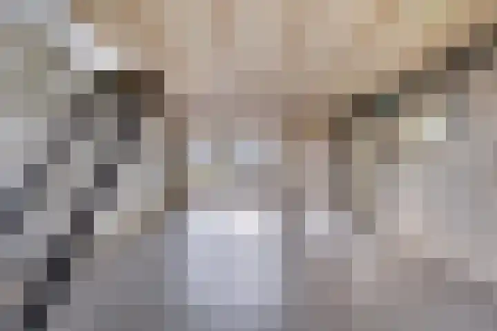 Honingveldsestraat 1 Driel thumbnail 64