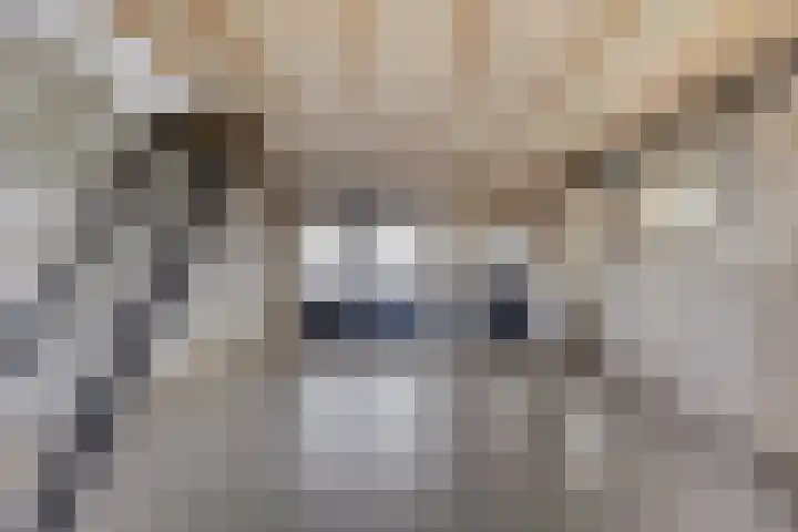 Honingveldsestraat 1 Driel thumbnail 65