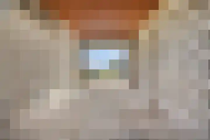 Honingveldsestraat 1 Driel thumbnail 66