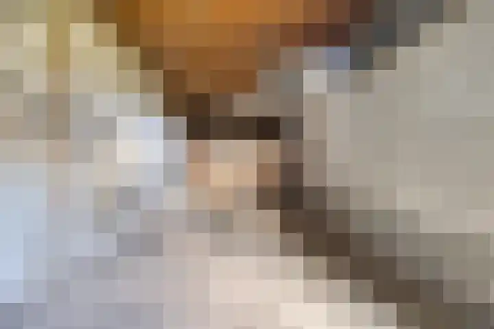 Honingveldsestraat 1 Driel thumbnail 68
