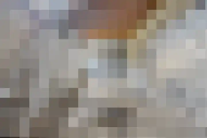 Honingveldsestraat 1 Driel thumbnail 69