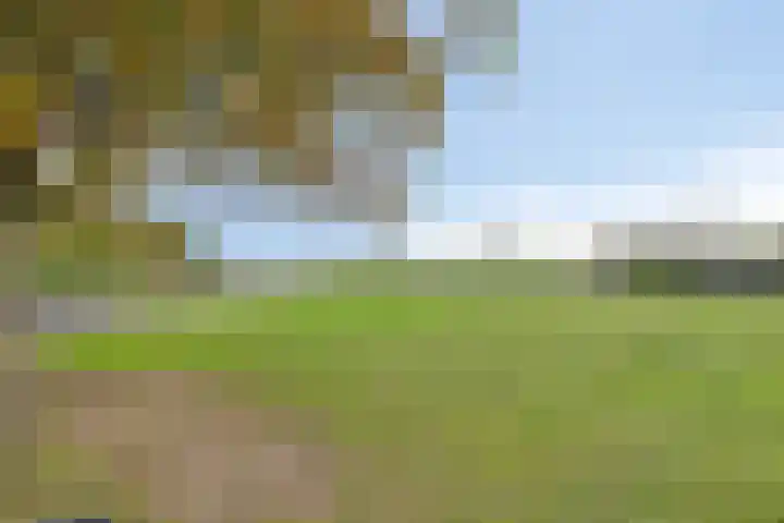 Honingveldsestraat 1 Driel thumbnail 7