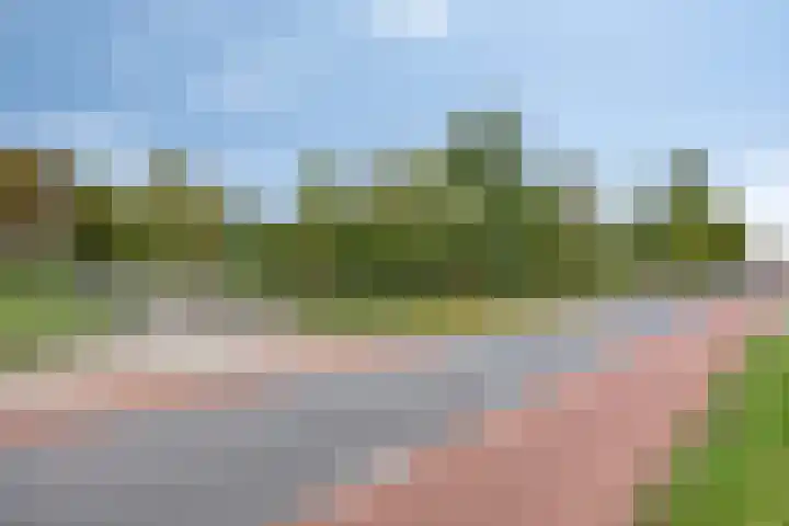 Honingveldsestraat 1 Driel thumbnail 76