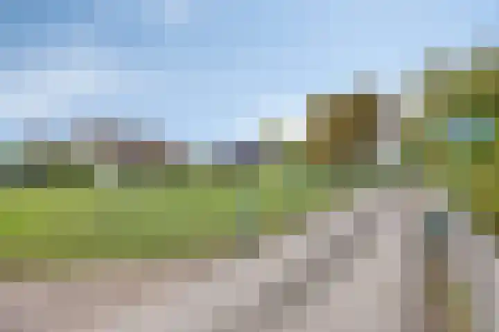 Honingveldsestraat 1 Driel thumbnail 77