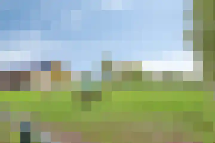 Honingveldsestraat 1 Driel thumbnail 78