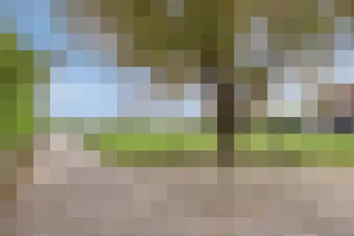 Honingveldsestraat 1 Driel thumbnail 80