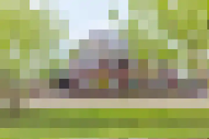 Honingzoet 57 Borne
