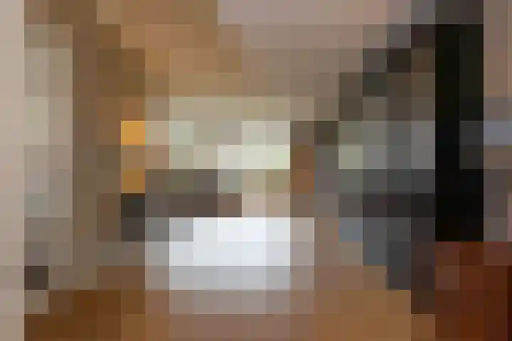 Honingzoet 57 Borne thumbnail 11