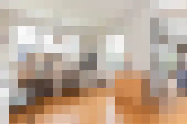 Honingzoet 57 Borne thumbnail 16