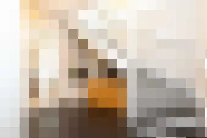 Honingzoet 57 Borne thumbnail 18