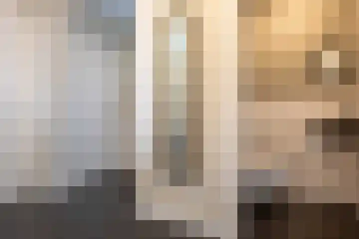 Honingzoet 57 Borne thumbnail 19