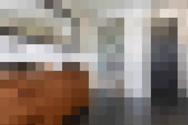 Honingzoet 57 Borne thumbnail 24