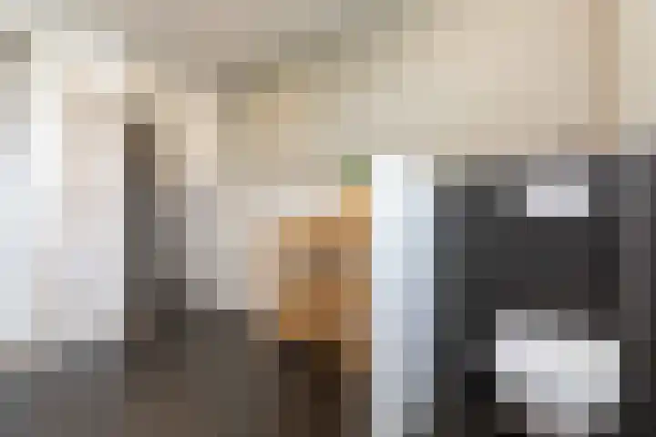 Honingzoet 57 Borne thumbnail 25