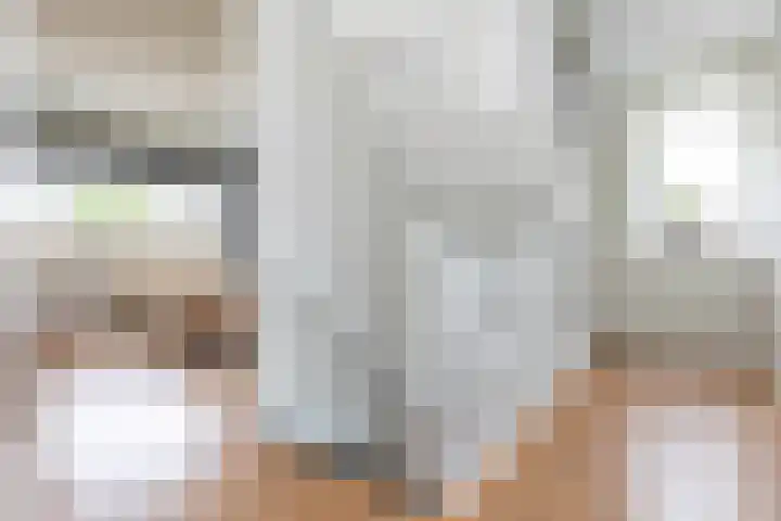 Honingzoet 57 Borne thumbnail 29