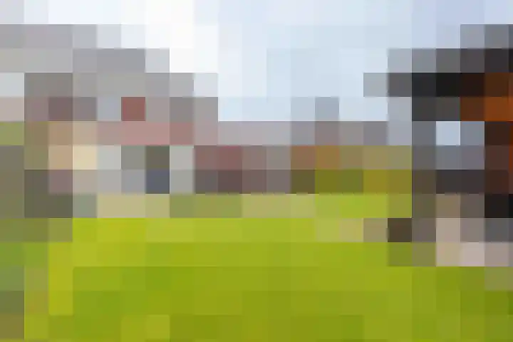 Honingzoet 57 Borne thumbnail 4
