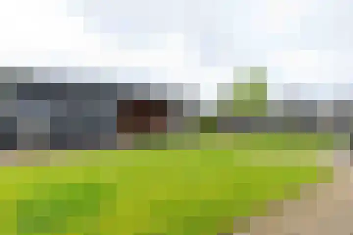 Honingzoet 57 Borne thumbnail 5