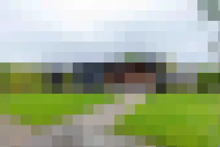 Honingzoet 57 Borne thumbnail 6