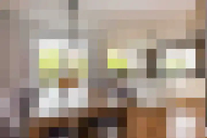Honingzoet 57 Borne thumbnail 7