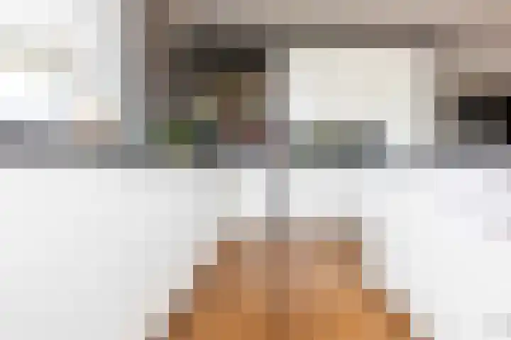 Honingzoet 57 Borne thumbnail 9