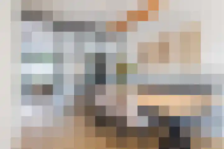 Honingzwam 10 Apeldoorn thumbnail 10