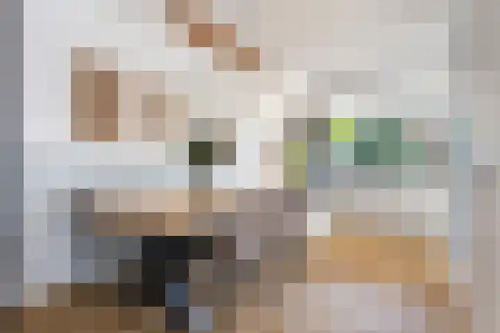 Honingzwam 10 Apeldoorn thumbnail 11