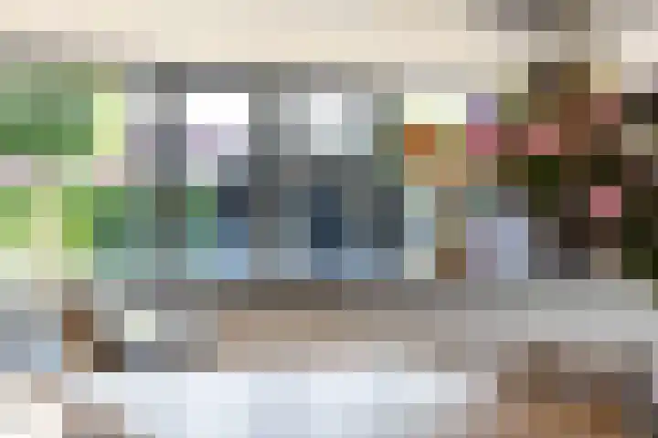 Honingzwam 10 Apeldoorn thumbnail 12