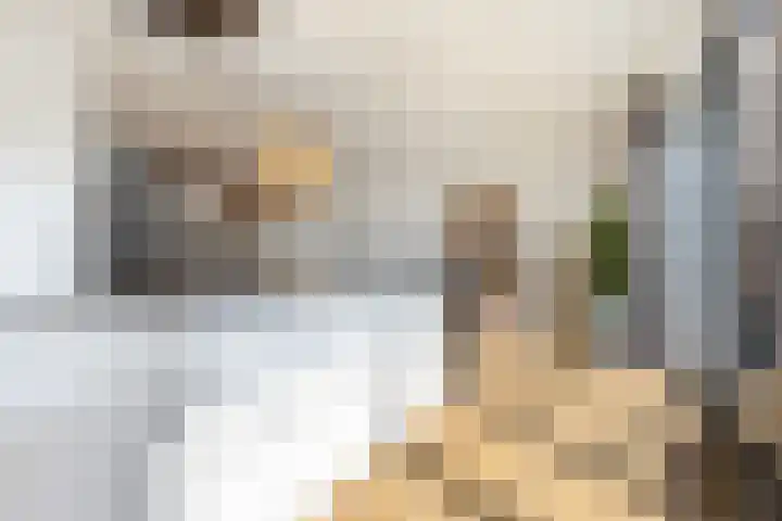 Honingzwam 10 Apeldoorn thumbnail 16