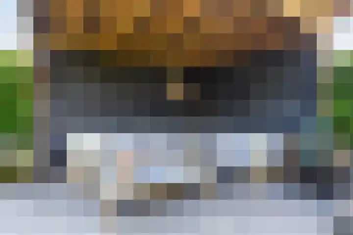 Honingzwam 10 Apeldoorn thumbnail 19