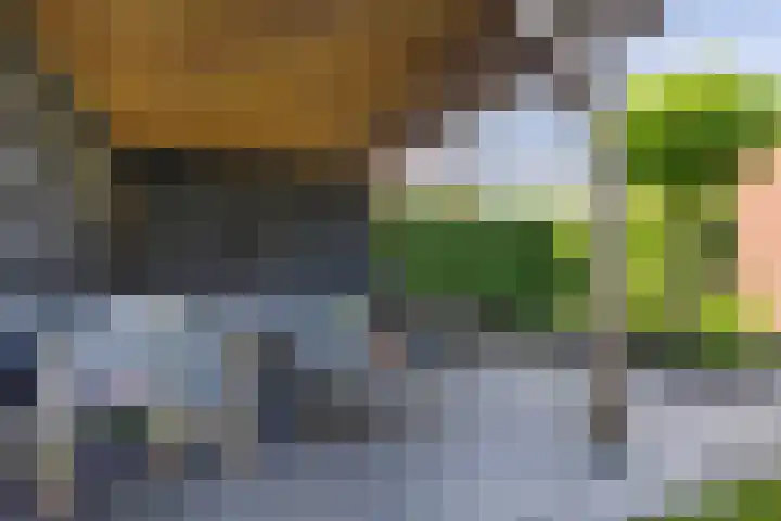 Honingzwam 10 Apeldoorn thumbnail 20