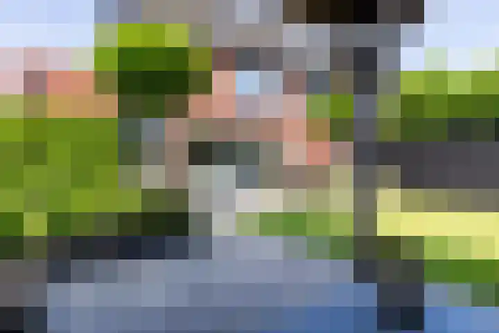 Honingzwam 10 Apeldoorn thumbnail 21